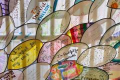IMG-20231123-WA0005