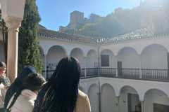 IMG-20251201-WA0024