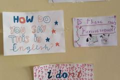 IMG-20251106-WA0037