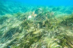 DCIM\101GOPRO\GOPR0074.JPG