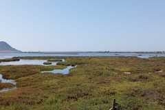 IMG-20250622-WA0005