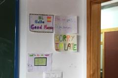 IMG-20201106-WA0006