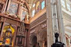 IMG-20251121-WA0028