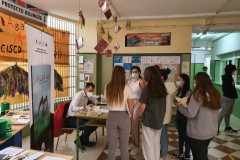 PHOTO-2021-06-08-09-14-49-copia-6
