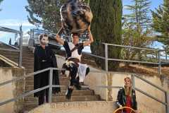IMG-20251109-WA0384