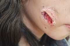 IMG-20251109-WA0386