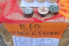 IMG-20251109-WA0387