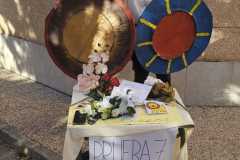 IMG-20251109-WA0393