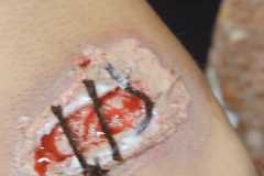 IMG-20251109-WA0395