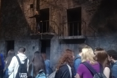 PHOTO-2019-02-08-10-12-08 - copia (2)