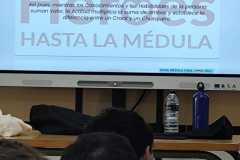 WhatsApp-Image-2026-01-19-at-20.04.36-1