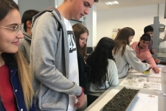 IMG_3561