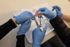 IMG-20251112-WA0024