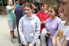 343972141_564335969093290_1487077184377105358_n