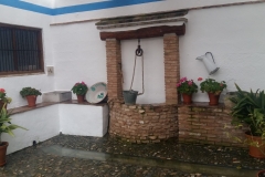 PHOTO-2019-02-06-18-11-50 - copia (3)