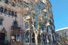 WhatsApp-Image-2026-01-12-at-10.06.21